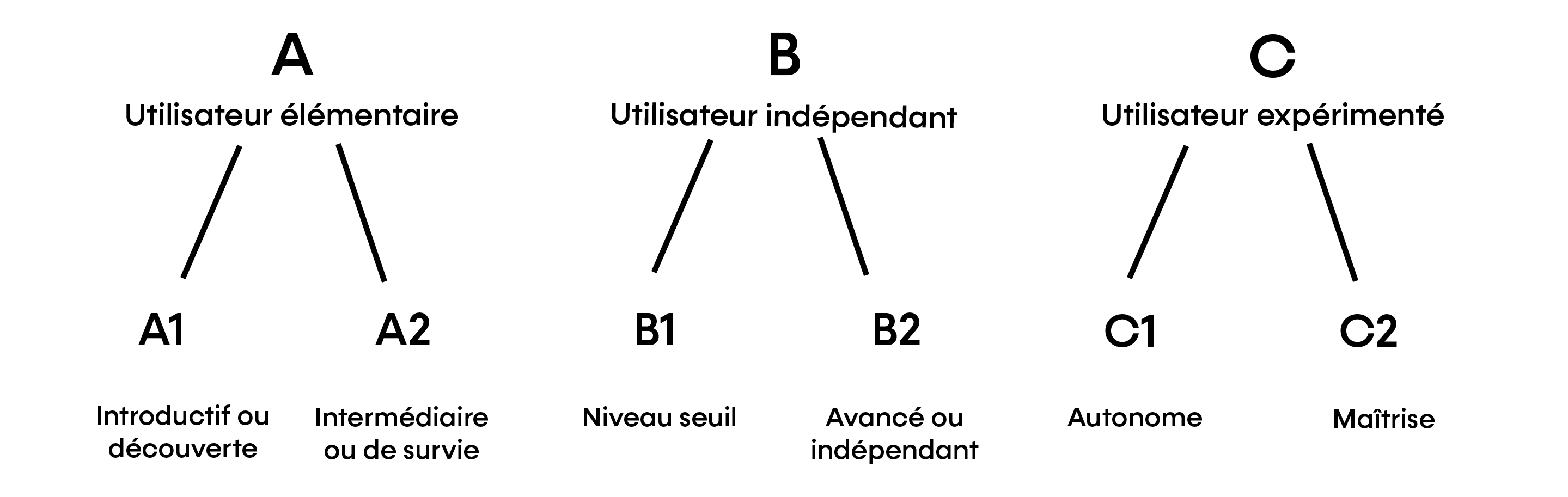 CECRL_Arborescence en 3 niveaux généraux du A - utilisateur élémentaire par le B - utilisateur indépendant au C - utilisateur expérimenté