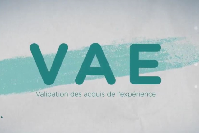 Image Training support